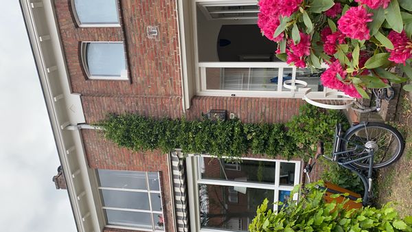 Sarah's house