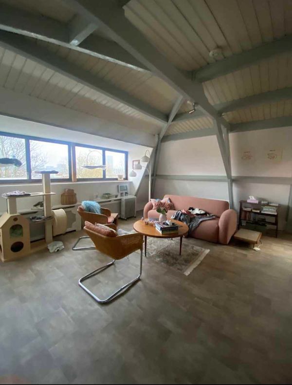 Charming treehouse apartment in lovely neighborhood