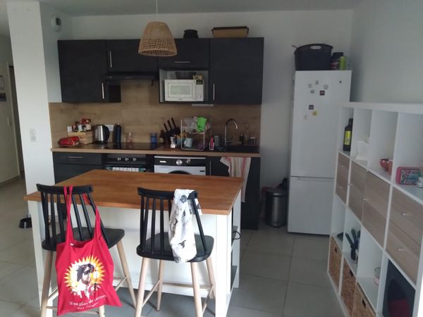 Montpellier appartement, cats included