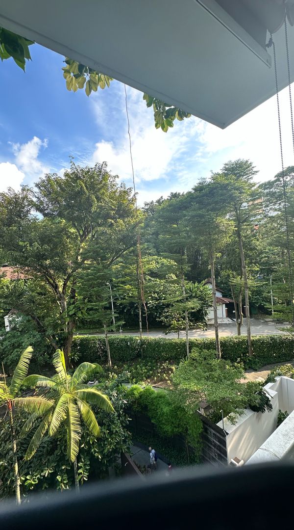 Mount Faber relaxing green