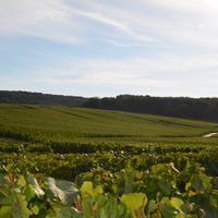 Le clos de champ tôt